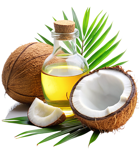 —Pngtree—coconut with oil_15667189